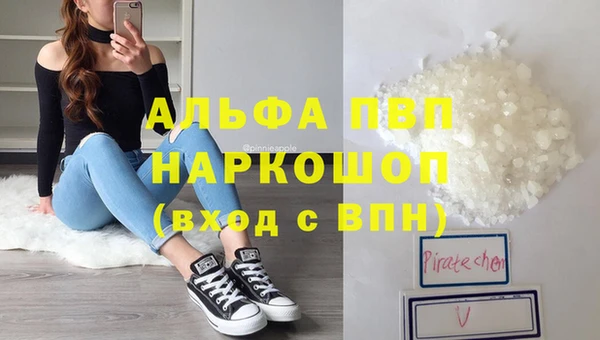 ГАЛЛЮЦИНОГЕННЫЕ ГРИБЫ Карталы