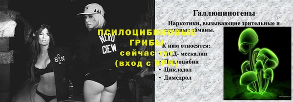 ALPHA-PVP Няндома