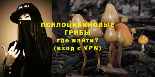 дурь Карпинск