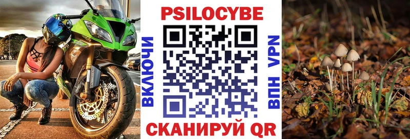 Галлюциногенные грибы мухоморы  ссылка на мегу ссылка  Севастополь 
