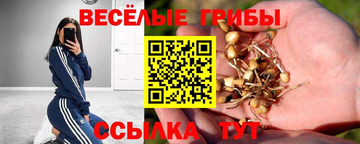 Псилоцибиновые грибы Magic Shrooms  Вход с VPN  даркнет сайт  Севастополь 